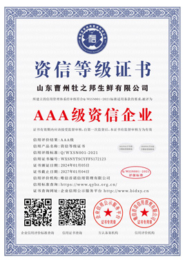 资信登记证书