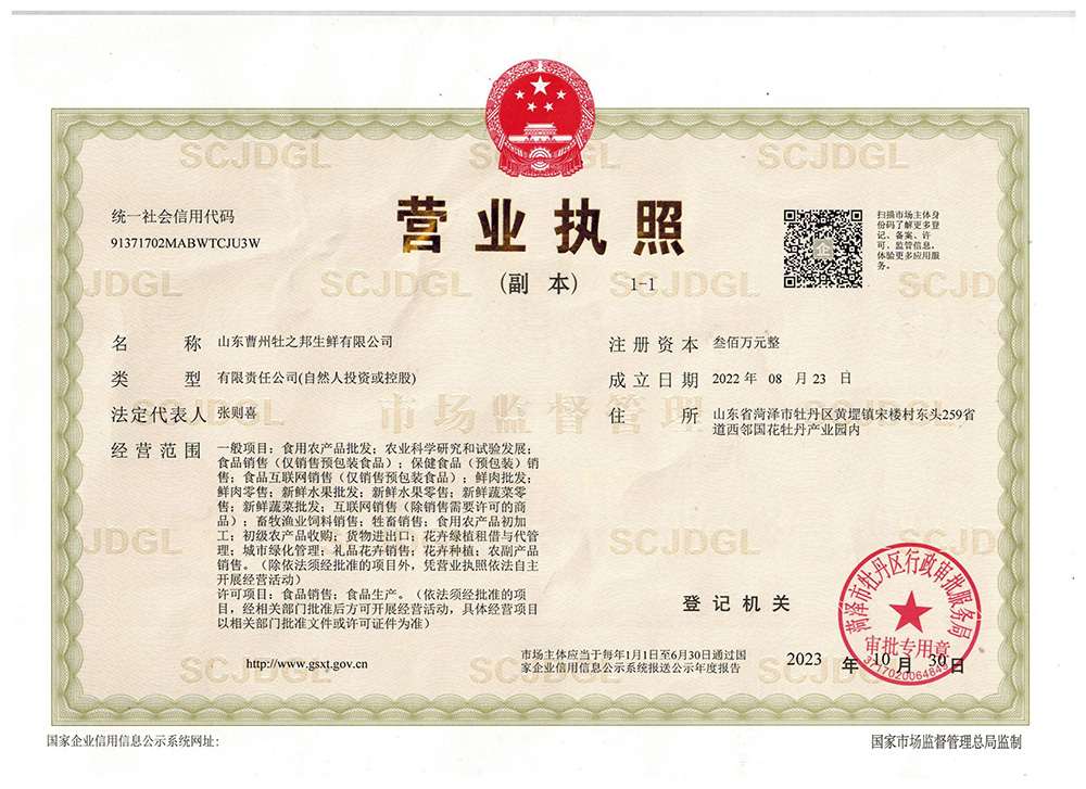 营业执照