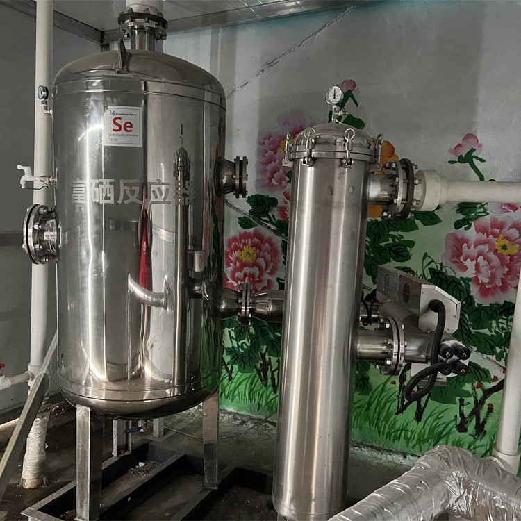 富硒反应器